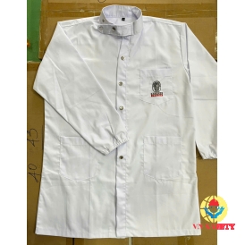 Áo Blouse
